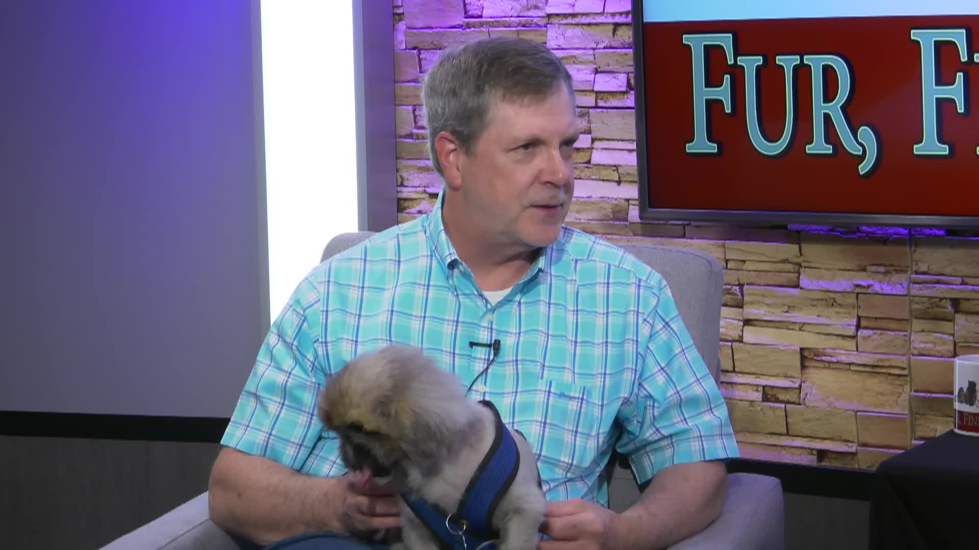 Thumbnail image for Fur Fins and Feathers [EP 155] | 06/17/2026